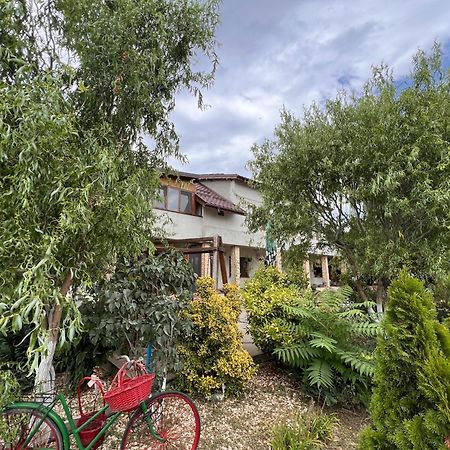 Casa Vera, Tudor Vladimirescu Tulcea Extérieur photo